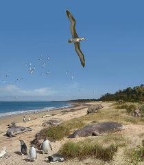 post-8293-0-81616900-1364928093_thumb.jp