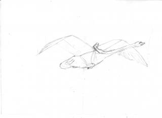 post-9408-0-86873500-1365328419_thumb.jp