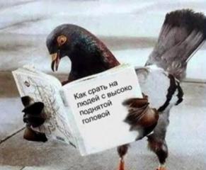 post-8388-0-35717800-1381060826_thumb.jp