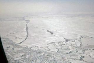 post-8460-0-20820800-1354884197_thumb.jp