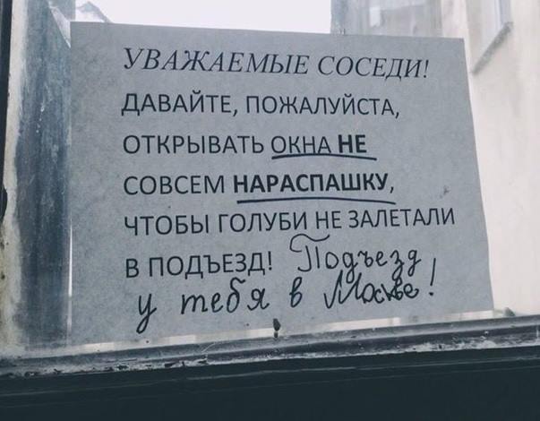 11251909_1764821977077457_76910782865519