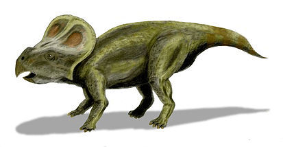 413px-Protoceratops_BW.jpg