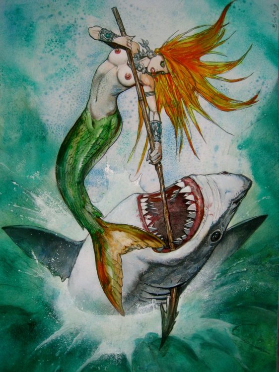 mermaid vs shark.jpg