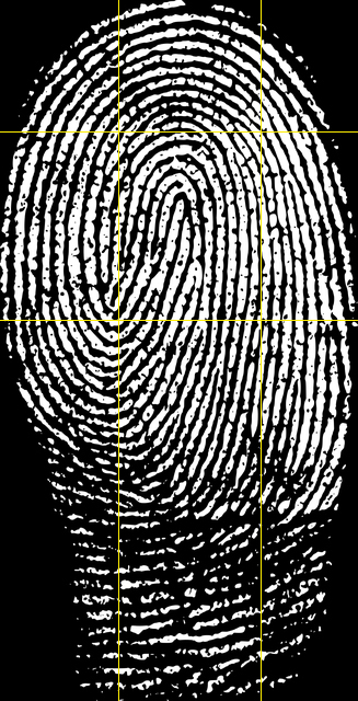 er_pilt_fingerprint.thumb.jpg.53d8ec0d30