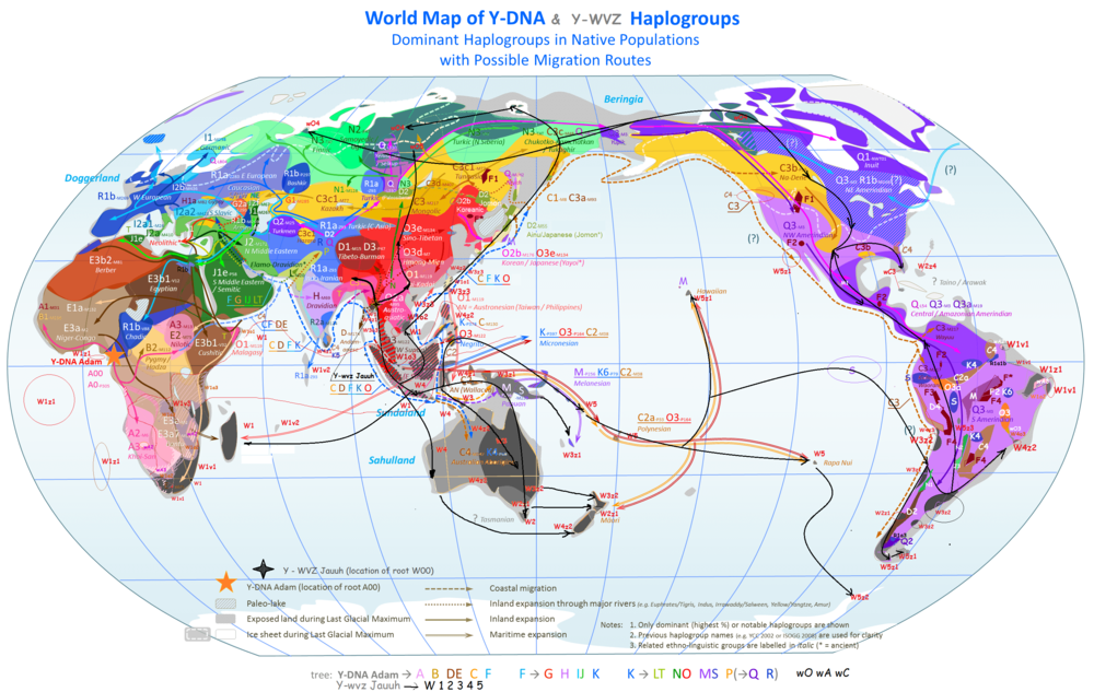 World_Map_of_Y-DNA_Y-WVZ.thumb.png.c80e1
