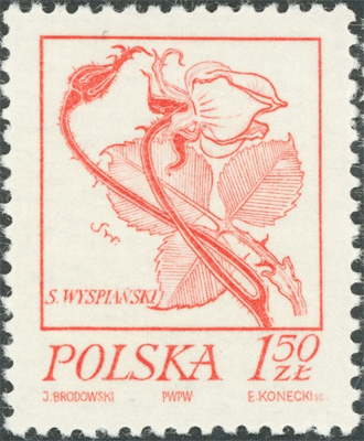 1974 1 50.jpg