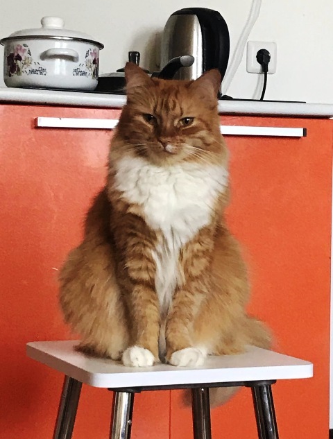 1469.thumb.jpg.d0724c18e7a745e621894cda9