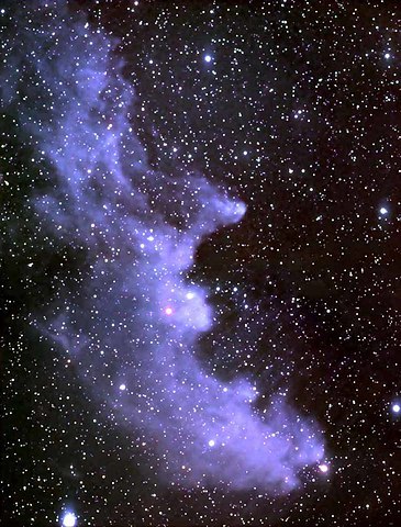 witch-head-nebula.thumb.jpg.873ad996b19d