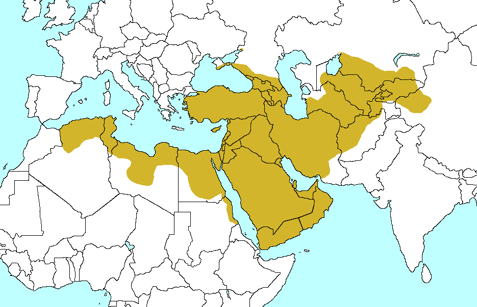 Османский халифат.png