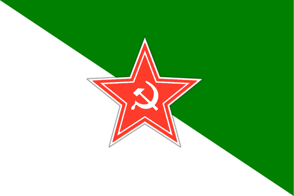 флаг томской республики (социализм).png