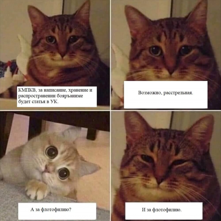 dva-kotika-mem.thumb.jpg.6fa0146ae7e7b53