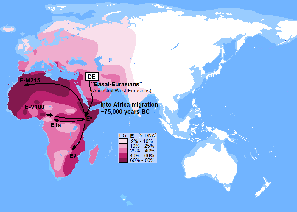 Distribution_of_haplogroup_E_(YDNA)_and_