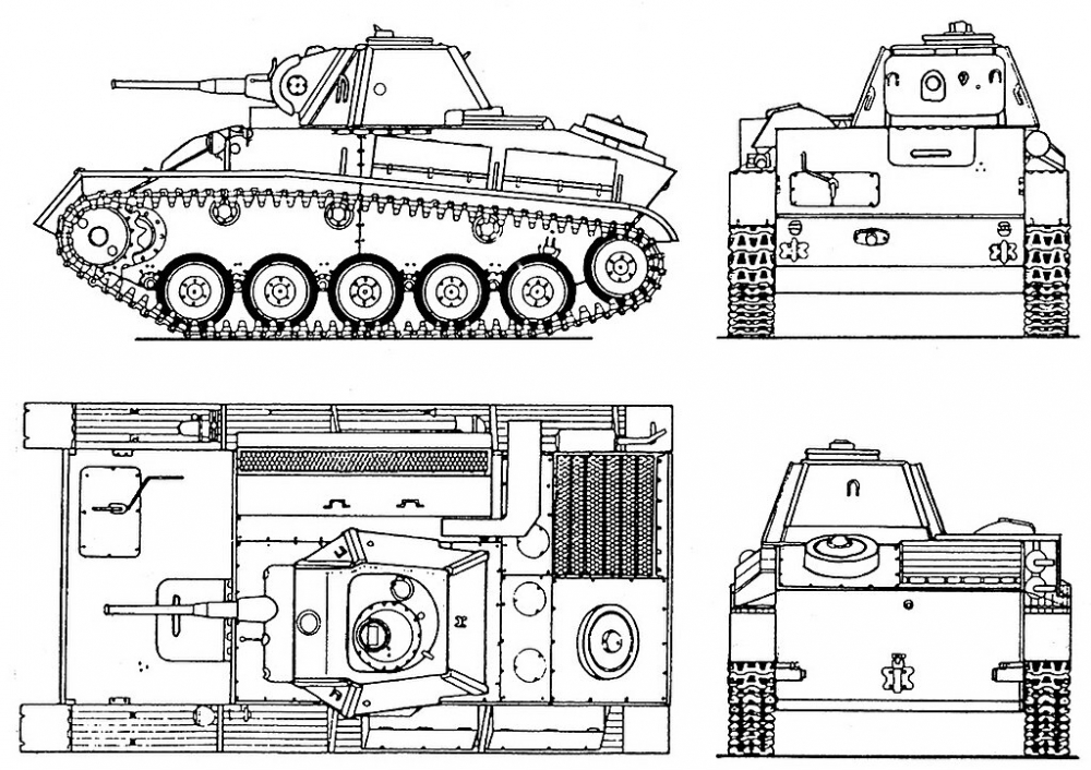 scale_1200 (1).jpg