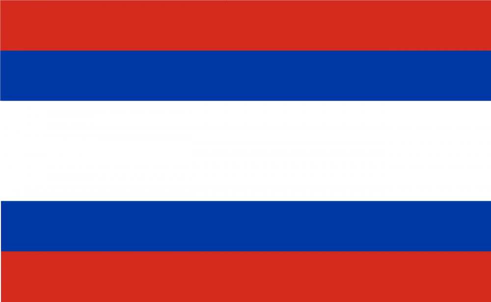 Флаг Российской Республики 2020.png