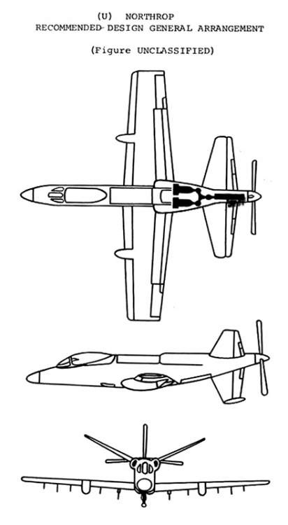 Northrop-AX-1.thumb.jpg.af1974680f40b3aa