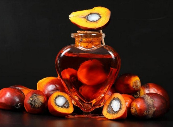 2024-10-19_191241.thumb.jpg.dcf9cf87bafc