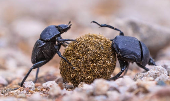 2024-10-20_055407.thumb.jpg.dfce96576cca