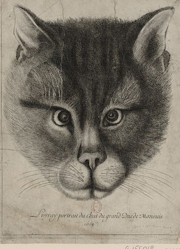 671ec19e6997f______._1663.thumb.jpg.9eaa