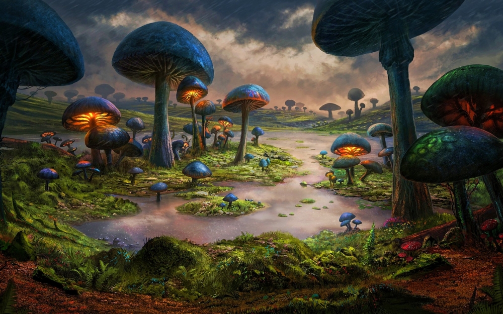 fantastic-forest-3d-art-mushrooms-valley-river.jpg