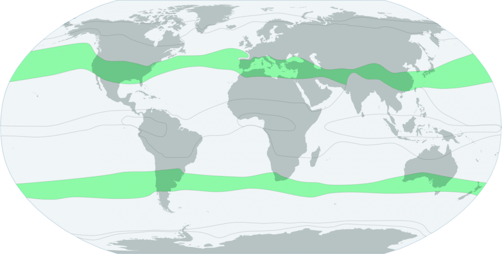 6762dd89bc4fc_Lhistroopiline_kliima.svg.