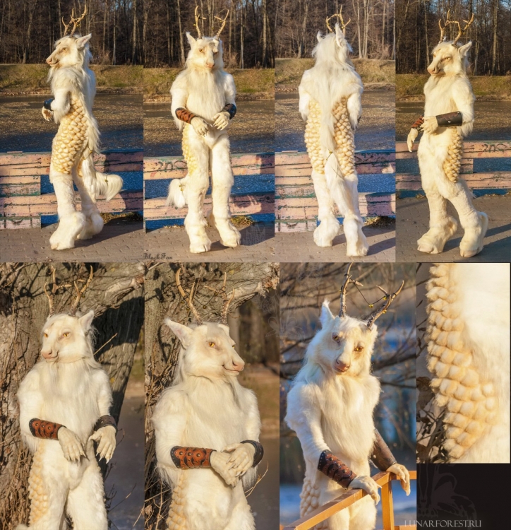 1549491531.snowvolkolak_kirin_fullsuit.jpg