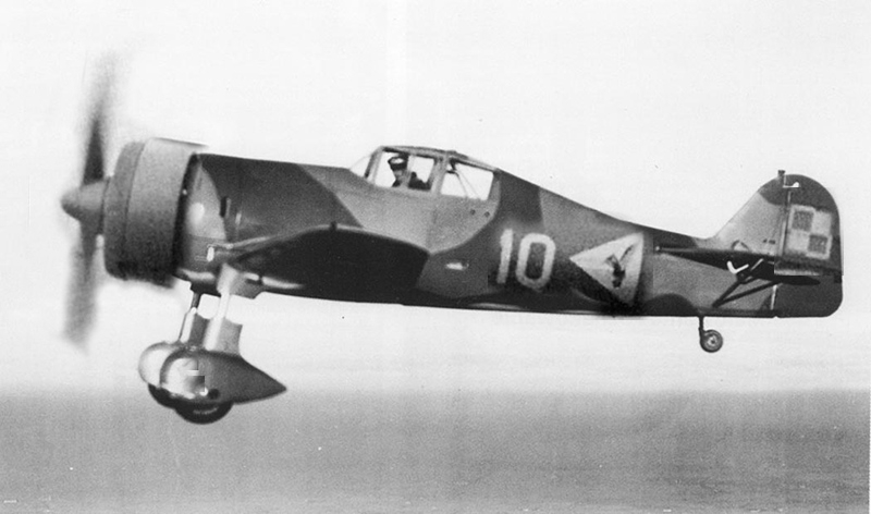 польский фоккер.jpg