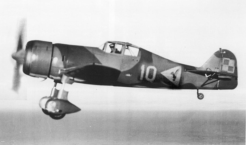 польский фоккер 2.jpg