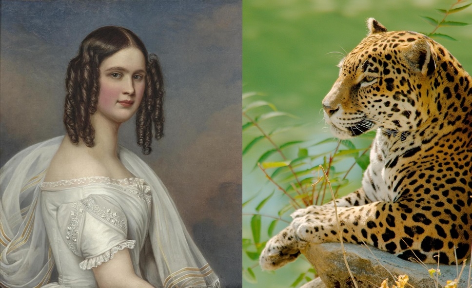 к бразильской арке.jpg