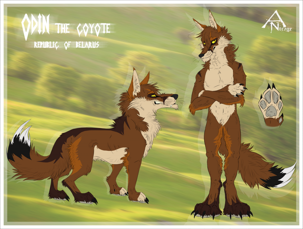 0 1300035038.coyoteodin_1200.png