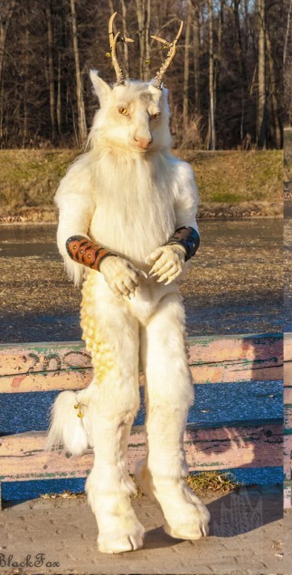 Без имени-2.jpg