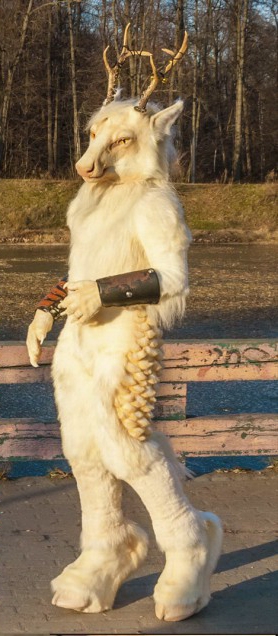 Без имени-4.jpg