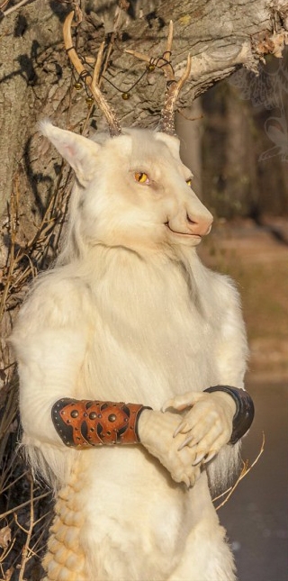 Без имени-6.jpg