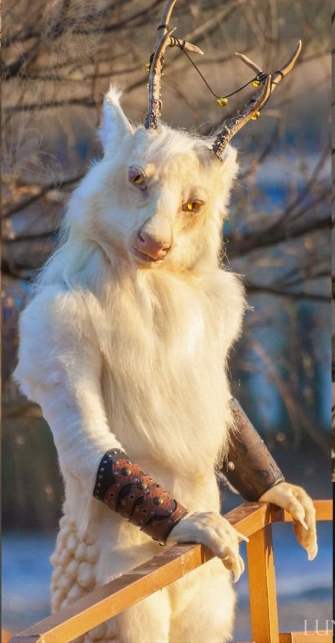 Без имени-7.jpg