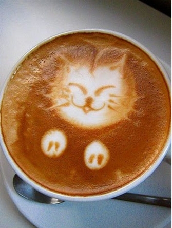 448.thumb.jpg.e01d098c5c98b4cc18276a3f15