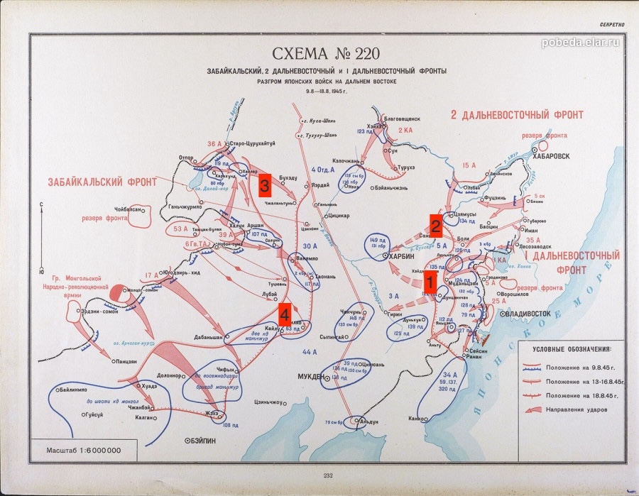 59119_900.thumb.jpg.b390fa34df2dac56f7c0