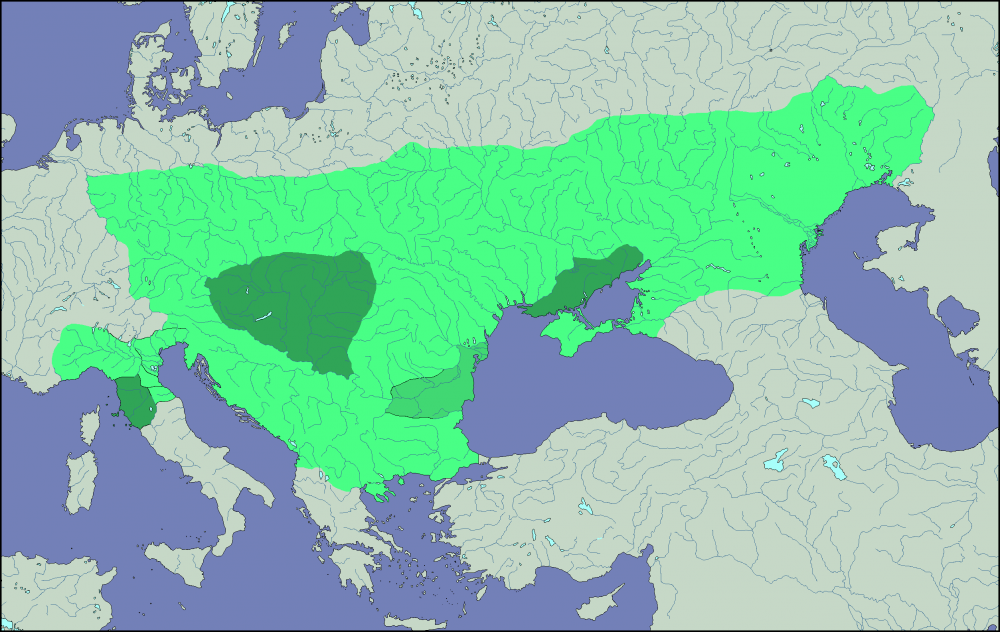 682b7231d46b3_-5.thumb.png.ca038f8884934