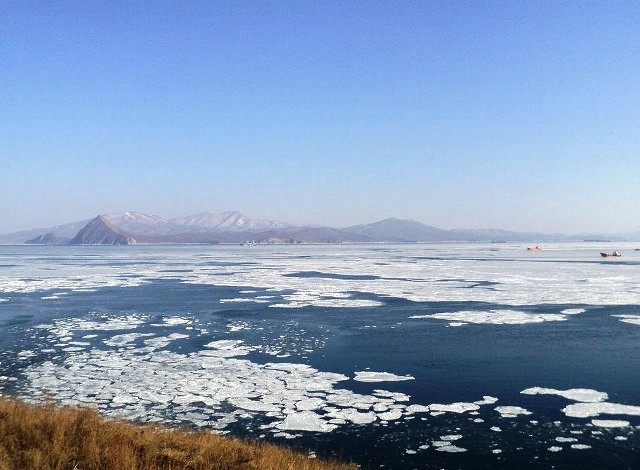 6832521a2fd31_____2.thumb.jpg.b3eb9ac09d