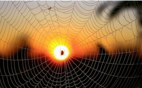 2025-06-07_213157.thumb.jpg.27d1c7b96082