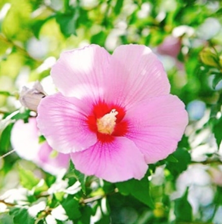 2025-06-10_235523.thumb.jpg.90200ab68fdd