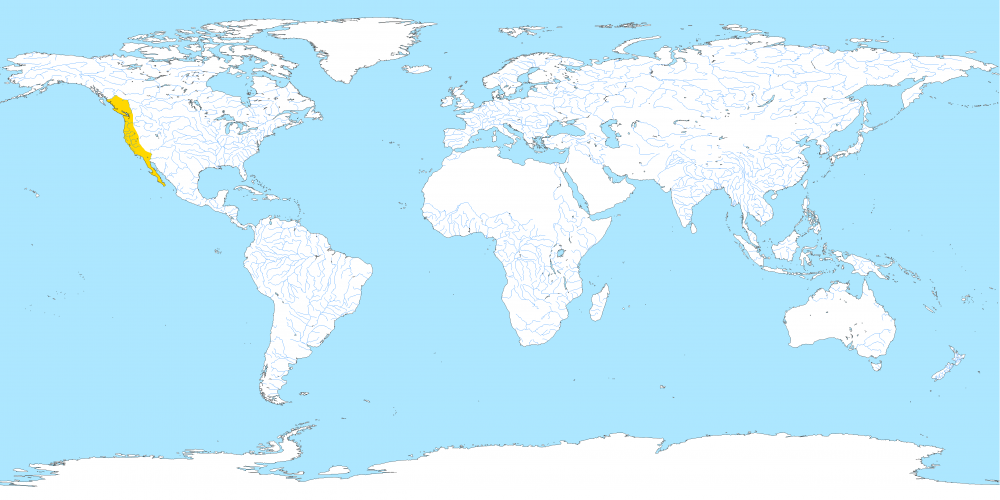 50dUxXS.thumb.png.e84c2c46dfe744c48baef9