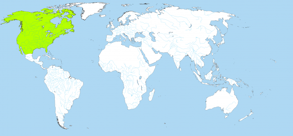 Mericana.thumb.png.7344f6233ea60b59c7f4d