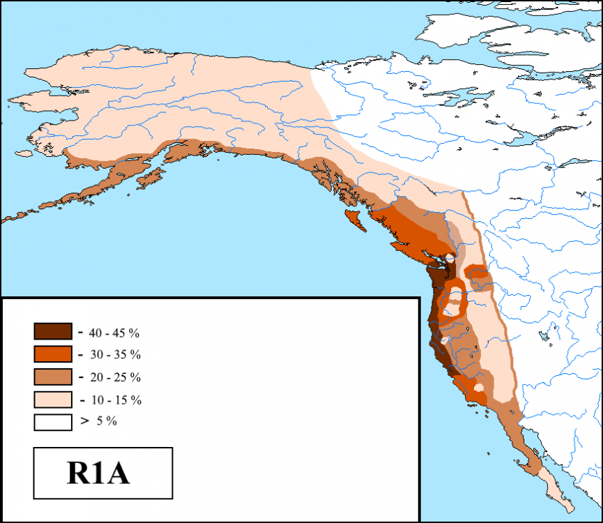 00.thumb.png.5f83ad026d0fdd0366f74208440