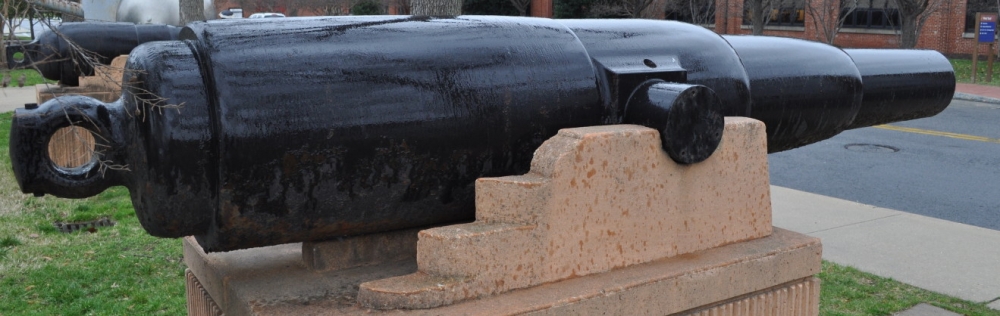 70 фунт уитворт PrincessRoyalGunProfile.jpg