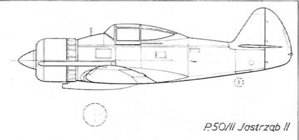Без имени-1.jpg