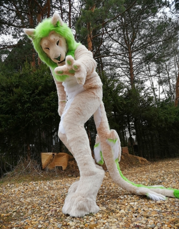 1587222177.irruanfursuits_gbly5q94gh0[1].jpg