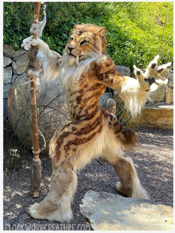 Без имени-1.jpg