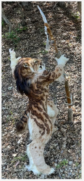 Без имени-3.jpg