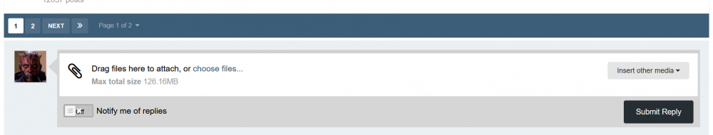 f1.png