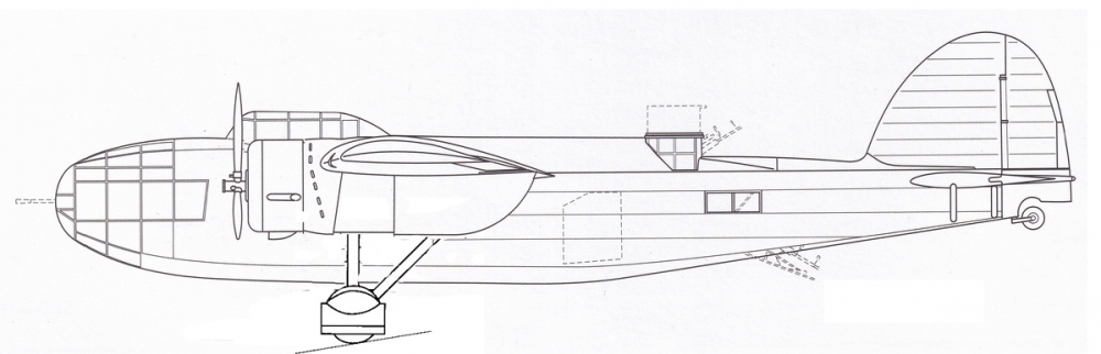LWS-6C Zubr III.jpg