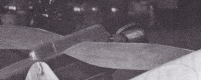 LWS-7.jpg